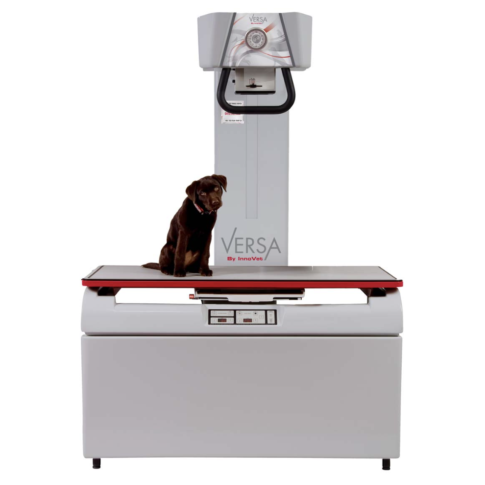 A picture of the dog sitting on the Innovet versa square machine